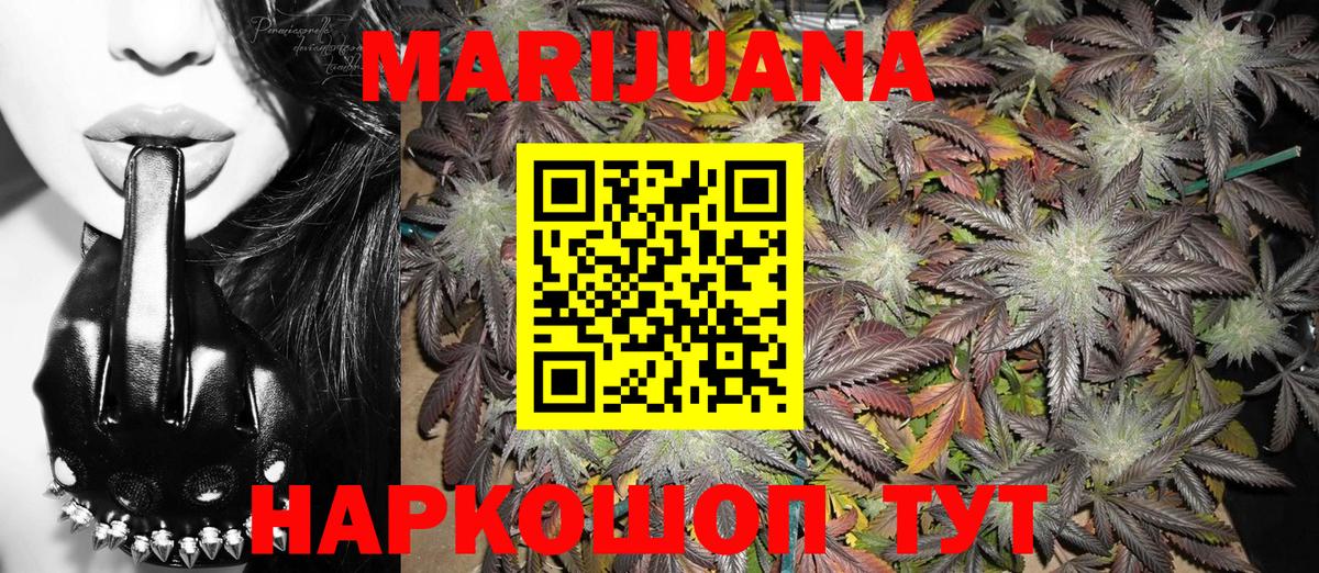 Каннабис планчик Углич